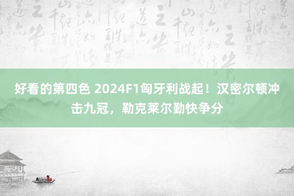 好看的第四色 2024F1匈牙利战起！汉密尔顿冲击九冠，勒克莱尔勤快争分