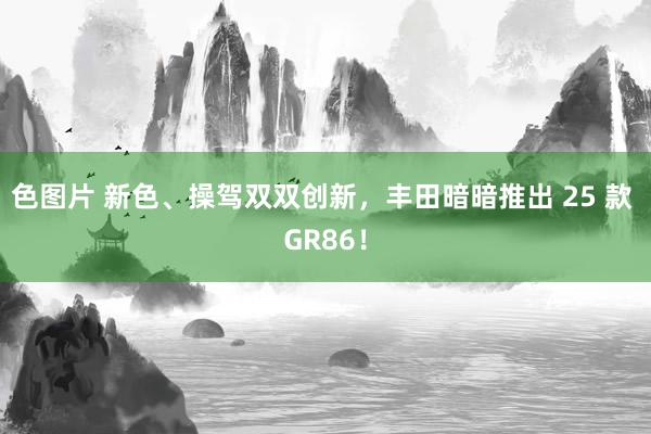 色图片 新色、操驾双双创新，丰田暗暗推出 25 款 GR86！