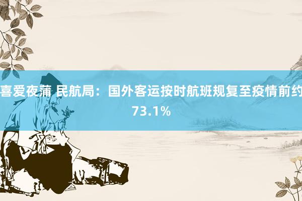 喜爱夜蒲 民航局：国外客运按时航班规复至疫情前约73.1%