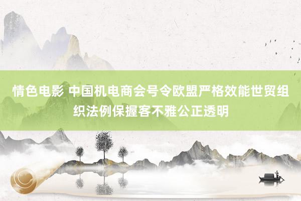 情色电影 中国机电商会号令欧盟严格效能世贸组织法例保握客不雅公正透明