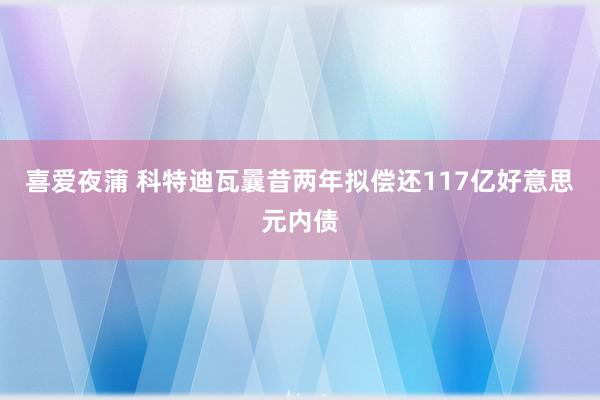 喜爱夜蒲 科特迪瓦曩昔两年拟偿还117亿好意思元内债