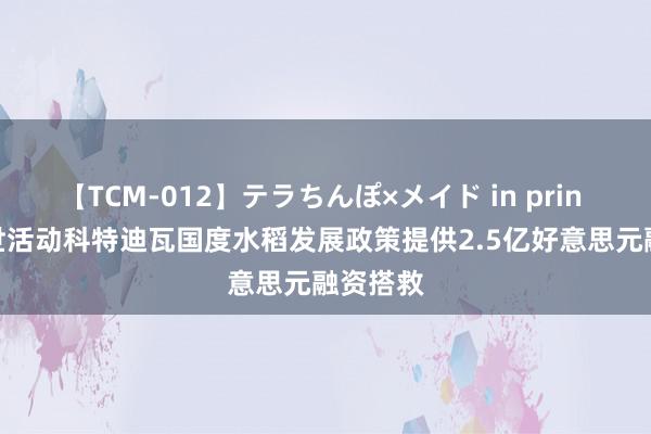 【TCM-012】テラちんぽ×メイド in prin MIKA 世活动科特迪瓦国度水稻发展政策提供2.5亿好意思元融资搭救