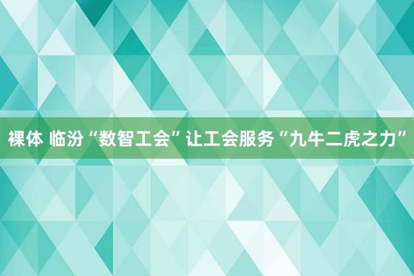 裸体 临汾“数智工会”让工会服务“九牛二虎之力”