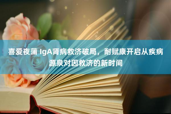 喜爱夜蒲 IgA肾病救济破局，耐赋康开启从疾病源泉对因救济的新时间