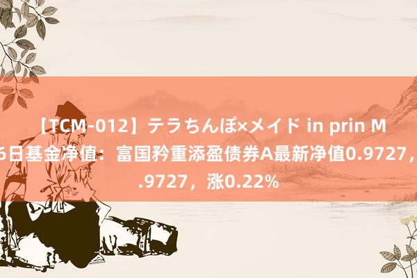 【TCM-012】テラちんぽ×メイド in prin MIKA 7月26日基金净值：富国矜重添盈债券A最新净值0.9727，涨0.22%