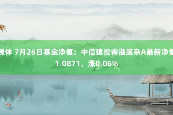 裸体 7月26日基金净值：中信建投睿溢羼杂A最新净值1.0871，涨0.06%