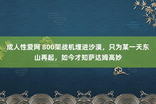 成人性爱网 800架战机埋进沙漠，只为某一天东山再起，如今才知萨达姆高妙