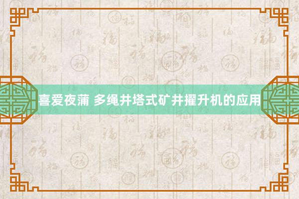 喜爱夜蒲 多绳井塔式矿井擢升机的应用