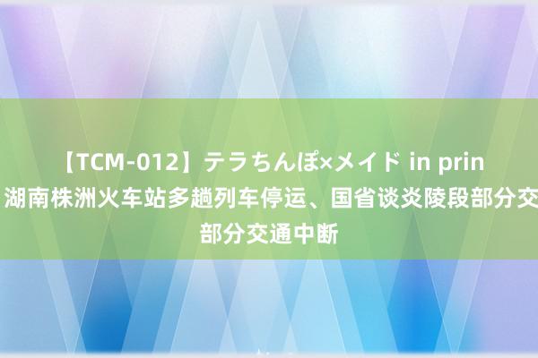 【TCM-012】テラちんぽ×メイド in prin MIKA 湖南株洲火车站多趟列车停运、国省谈炎陵段部分交通中断