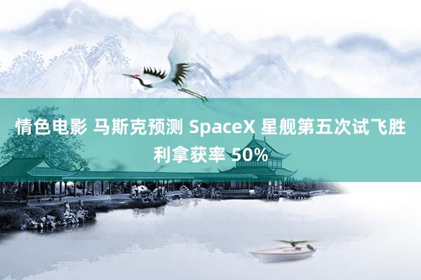 情色电影 马斯克预测 SpaceX 星舰第五次试飞胜利拿获率 50%