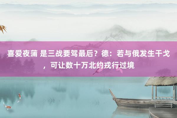 喜爱夜蒲 是三战要驾最后？德：若与俄发生干戈，可让数十万北约戎行过境