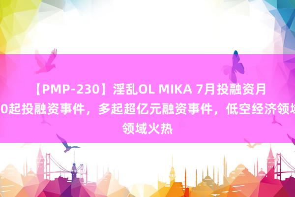 【PMP-230】淫乱OL MIKA 7月投融资月报：90起投融资事件，多起超亿元融资事件，低空经济领域火热