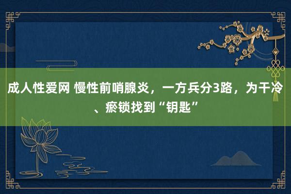 成人性爱网 慢性前哨腺炎，一方兵分3路，为干冷、瘀锁找到“钥匙”