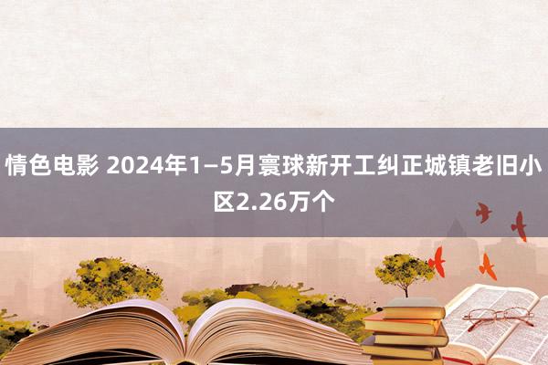 情色电影 2024年1—5月寰球新开工纠正城镇老旧小区2.26万个