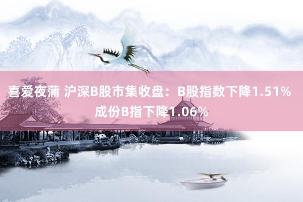 喜爱夜蒲 沪深B股市集收盘：B股指数下降1.51% 成份B指下降1.06%