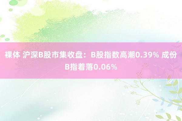 裸体 沪深B股市集收盘：B股指数高潮0.39% 成份B指着落0.06%