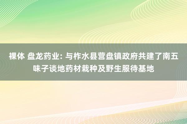 裸体 盘龙药业: 与柞水县营盘镇政府共建了南五味子谈地药材栽种及野生服待基地