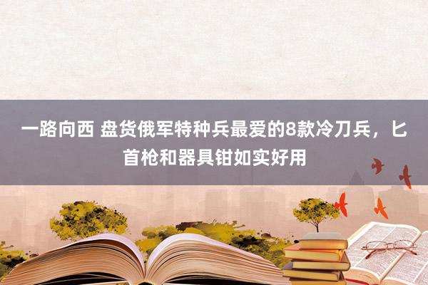 一路向西 盘货俄军特种兵最爱的8款冷刀兵，匕首枪和器具钳如实好用