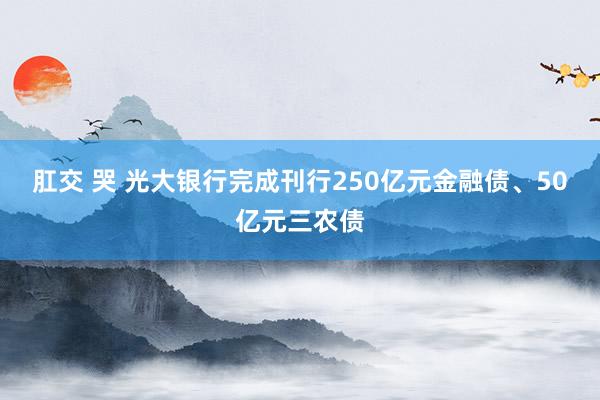 肛交 哭 光大银行完成刊行250亿元金融债、50亿元三农债