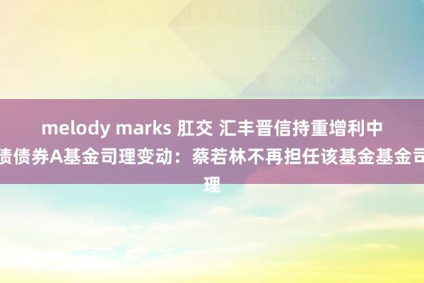 melody marks 肛交 汇丰晋信持重增利中短债债券A基金司理变动：蔡若林不再担任该基金基金司理