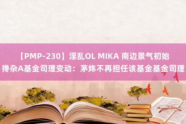 【PMP-230】淫乱OL MIKA 南边景气初始搀杂A基金司理变动：茅炜不再担任该基金基金司理