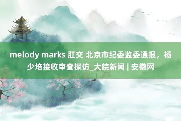 melody marks 肛交 北京市纪委监委通报，杨少培接收审查探访_大皖新闻 | 安徽网