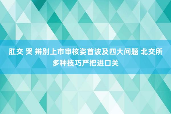 肛交 哭 辩别上市审核姿首波及四大问题 北交所多种技巧严把进口关